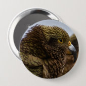 Kea (Nestor notabilis) Button (Vorne & Hinten)