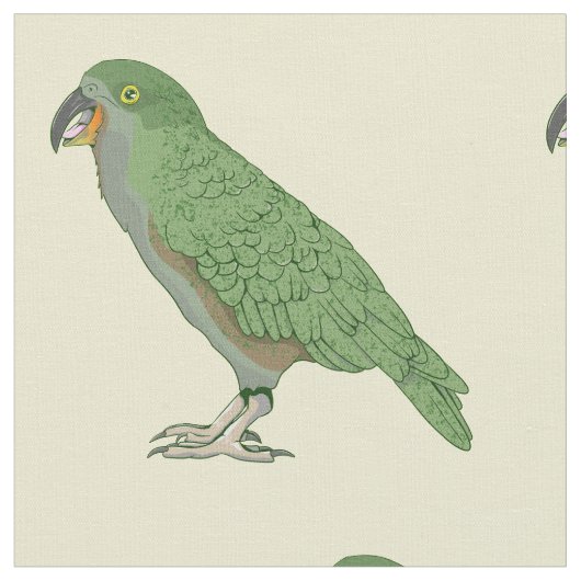 Kea New Zealand Bird Stoff (Nahaufnahme)