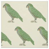 Kea New Zealand Bird Stoff (Muster)