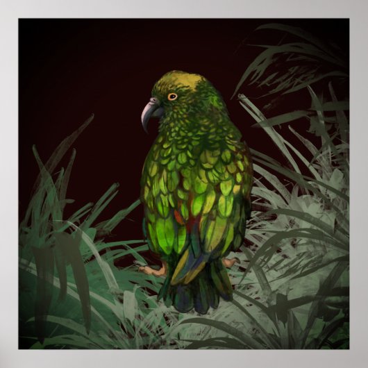 Kea Poster (Vorne)