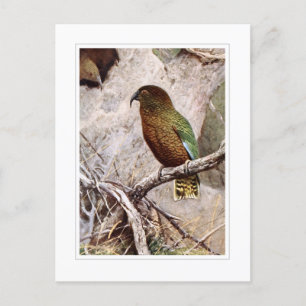 Kea Postkarte