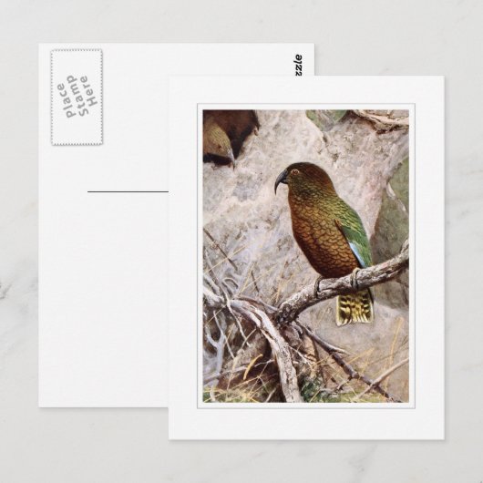 Kea Postkarte (Vorne/Hinten)