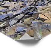 Kea und Mt. Rolleston Poster (Ecke)