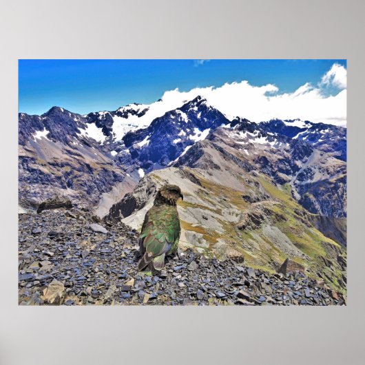 Kea und Mt. Rolleston Poster (Vorne)