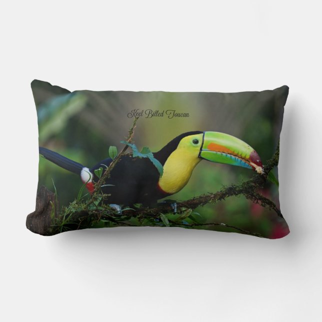 Keel Billed Toucan Bird Lendenkissen (Vorderseite)