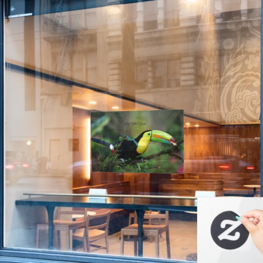 Keel Billed Toucan Fensteraufkleber (Café-Fenster)