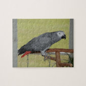 Keen Congo African Gray Parrot Puzzle (Horizontal)