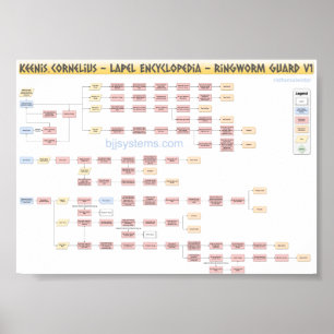 Keenan Cornelius - Ringwormschutz - Flowchart v1 Poster