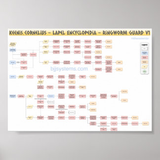 Keenan Cornelius - Ringwormschutz - Flowchart v1 Poster