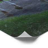 Keeneland Horse Print Poster (Ecke)