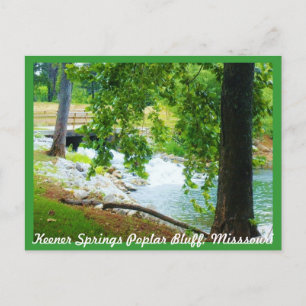 Keener Springs Poplar Bluff, Missouri Postkarte