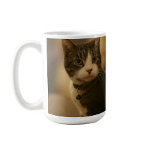 Keeno, die Tasse des Judgy Cat Coffee