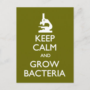Keep Calm Grow Bacteria postcard Postkarte