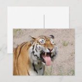 Keep Smiling Postcard Postkarte (Vorne/Hinten)