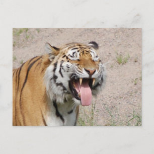 Keep Smiling Postcard Postkarte