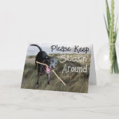 Keep Stickin' Around Dankeskarte (Vorderseite)