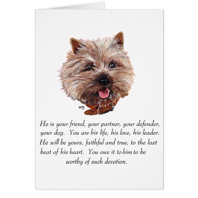 Keepake Cairn Terrier - Männlich (Vorne)