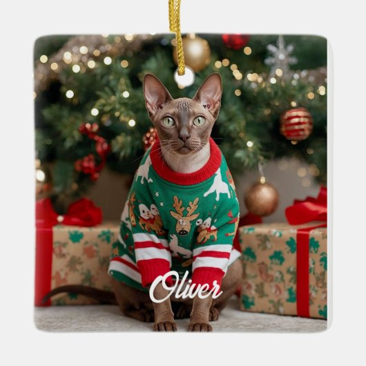 Keepake Cornish Rex Cat Weihnachten Personalisiert Keramikornament (Vorderseite)