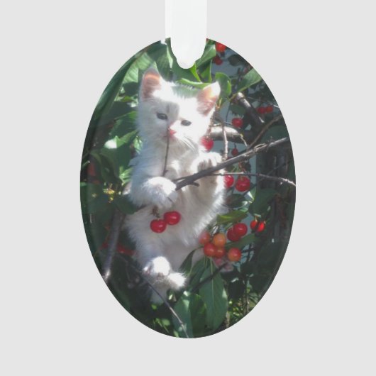 Keepake Family Cat Foto Ornament (Vorderseite)