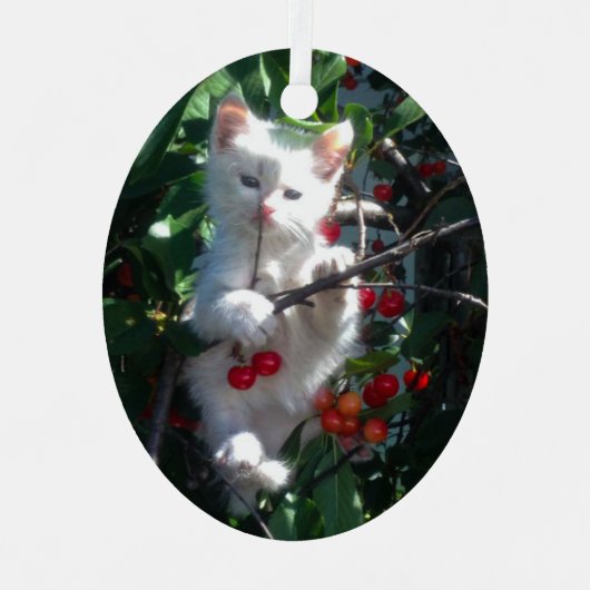 Keepake Family Cat Foto Ornament Aus Metall (Vorderseite)