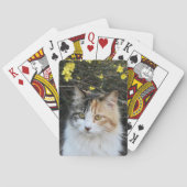 Keepake hinzufügen Ihr Foto Exzellente Qualität Ki Spielkarten (Rückseite)