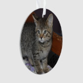 Keepsake Family Cat 2 Sided Photo Ornament (Vorderseite)