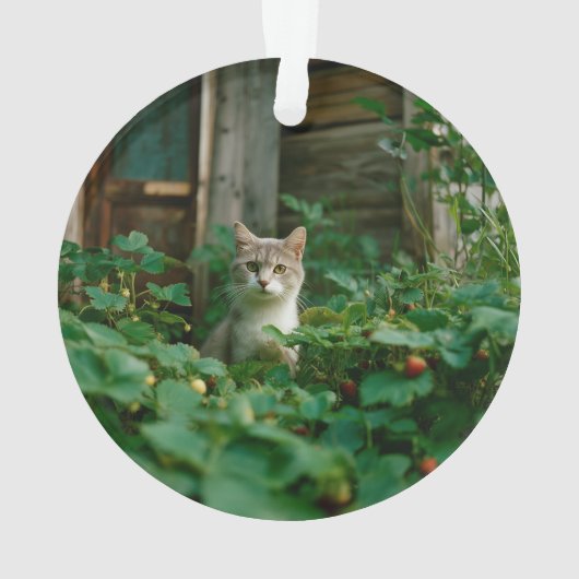 Keepsake Family Cat 2 Sided Photo Ornament (Rückseite)