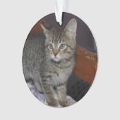 Keepsake Family Cat 2 Sided Photo Ornament (Vorderseite)
