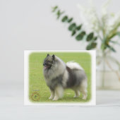 Keeshond 9J28D-01 Postkarte (Stehend Vorderseite)