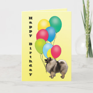 Keeshond-alles Gute zum Geburtstag Karte