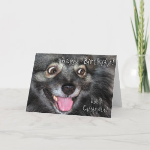Keeshond-alles Gute zum Geburtstaggrußkarte Karte