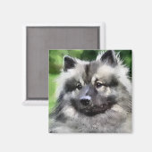 Keeshond Art Geschenke Magnet (Vorderseite/Rückseite)