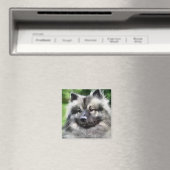 Keeshond Art Geschenke Magnet (In Situ (Geschirrspüler))