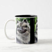 Keeshond Art Geschenke Zweifarbige Tasse (Links)