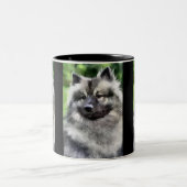 Keeshond Art Geschenke Zweifarbige Tasse (Mittel)