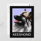 Keeshond Art Postkarte (Vorne/Hinten)