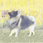 Keeshond Aspen Painting - Niedliche Originalkunst Aufkleber (Vorderseite)
