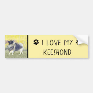 Keeshond Aspen Painting - Niedliche Originalkunst Autoaufkleber