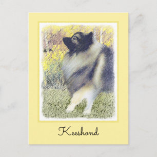 Keeshond Aspen Painting - Niedliche Originalkunst Postkarte