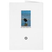 Keeshond Ballettfotos - Niedliche Original Dog Art (Hinten)