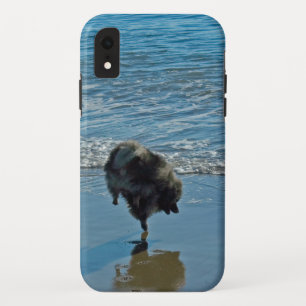 Keeshond Ballettfotos - Niedliche Original Dog Art Case-Mate iPhone Hülle