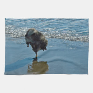 Keeshond Ballettfotos - Niedliche Original Dog Art Handtuch