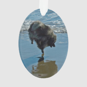 Keeshond Ballettfotos - Niedliche Original Dog Art Ornament