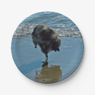 Keeshond Ballettfotos - Niedliche Original Dog Art Pappteller