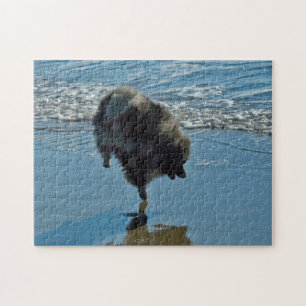 Keeshond Ballettfotos - Niedliche Original Dog Art Puzzle