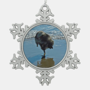 Keeshond Ballettfotos - Niedliche Original Dog Art Schneeflocken Zinn-Ornament