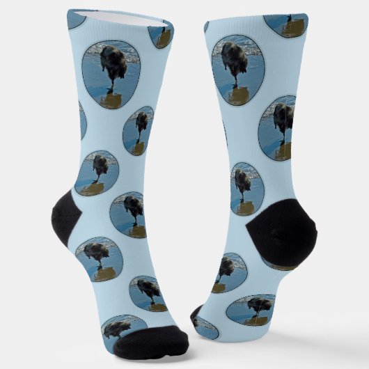 Keeshond Ballettfotos Niedliche Original Dog Art Socken (Gewinkelt)