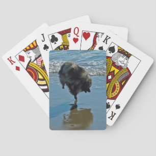 Keeshond Ballettfotos - Niedliche Original Dog Art Spielkarten