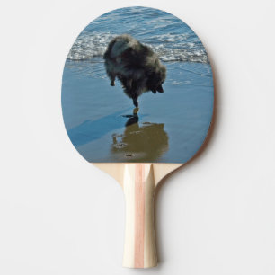 Keeshond Ballettfotos - Niedliche Original Dog Art Tischtennis Schläger