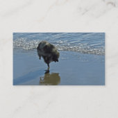 Keeshond Ballettfotos - Niedliche Original Dog Art Visitenkarte (Rückseite)